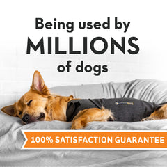 Thundershirt pression douce torse chien, contribue à calmer les situations stressantes.