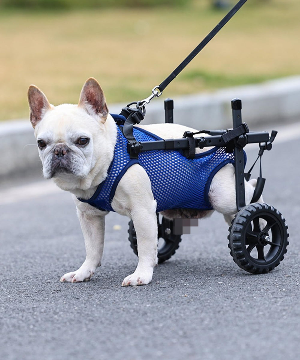 TianfuSpanda: fauteuil-chien petit, roue texturée 5,5 pouces pour mobilité améliorée.