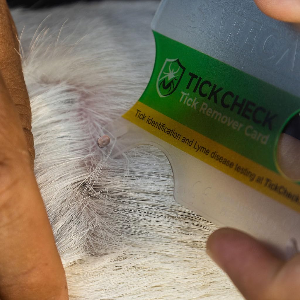 TickCheck format poche, compagnon idéal pour les sorties en plein air