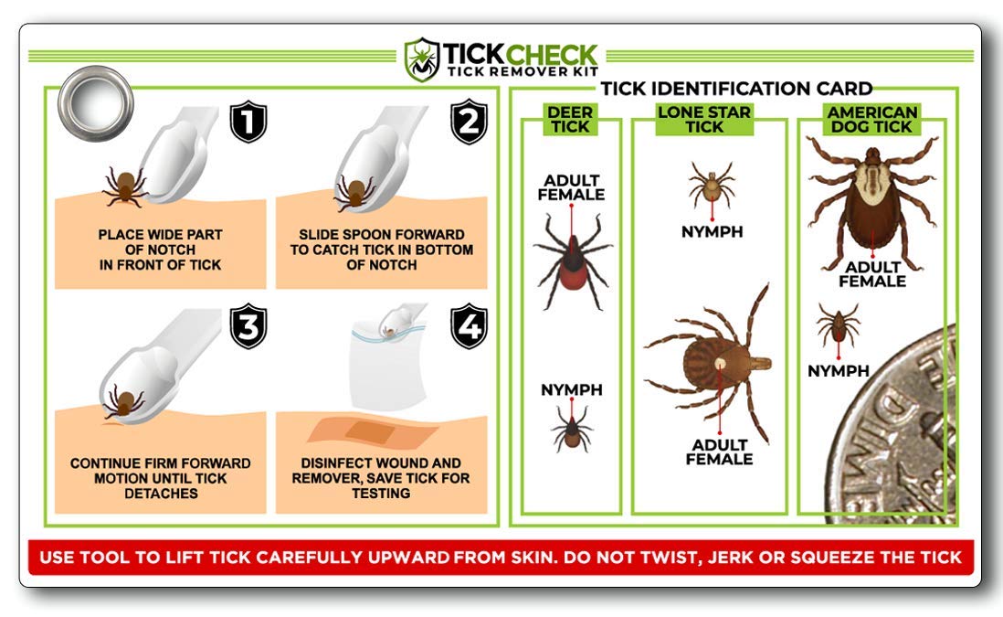 TickCheck mousqueton gratuit pour attacher la cuillère au sac ou collier.