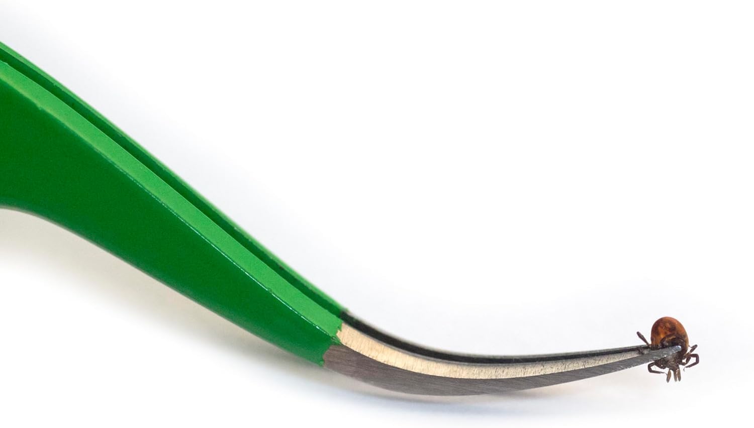 TickCheck pince tique petite acier inox pour les tiques nymphes délicates.