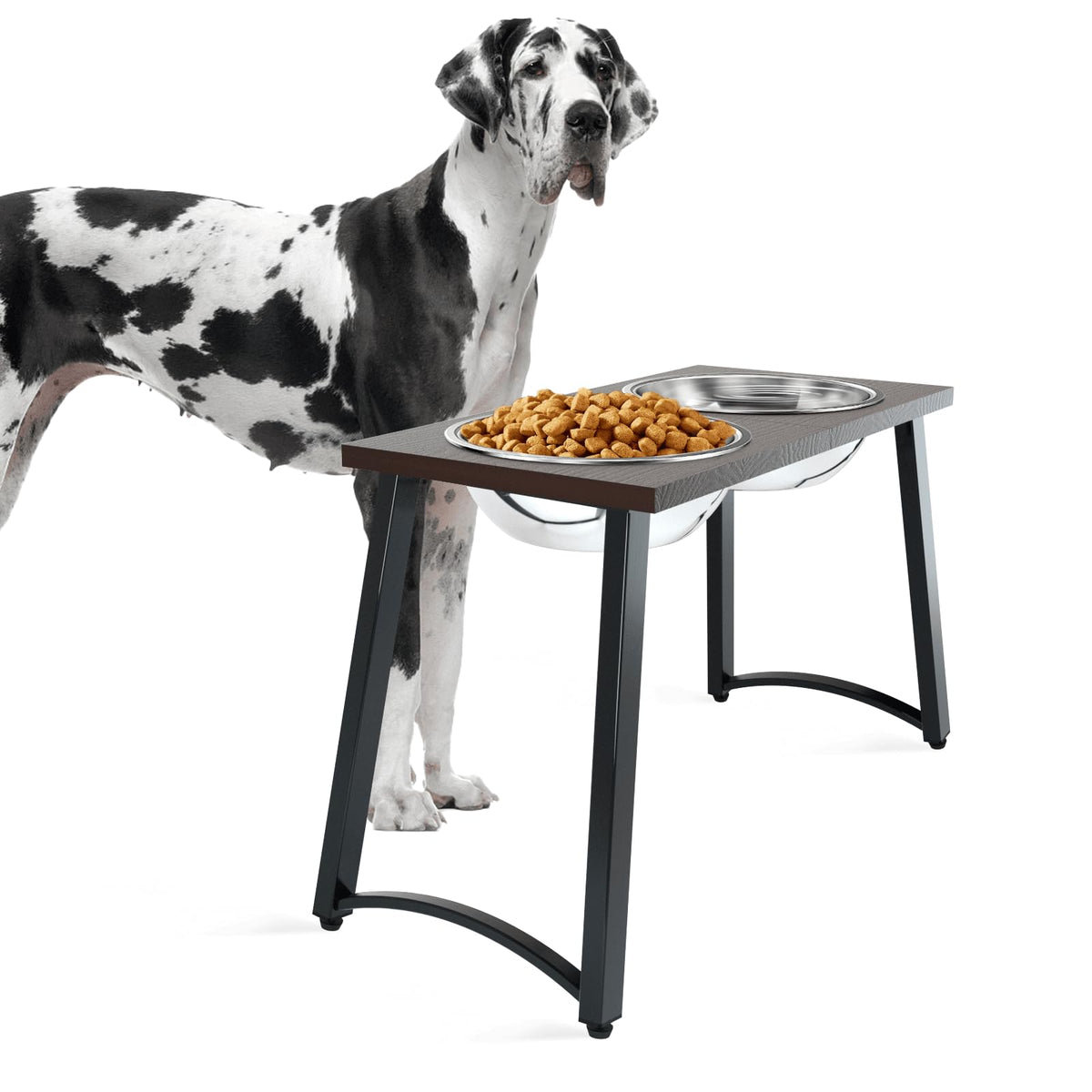 Gamme TIDANT: bols en inox surélevés pour chiens géants, durables et faciles à nettoyer.