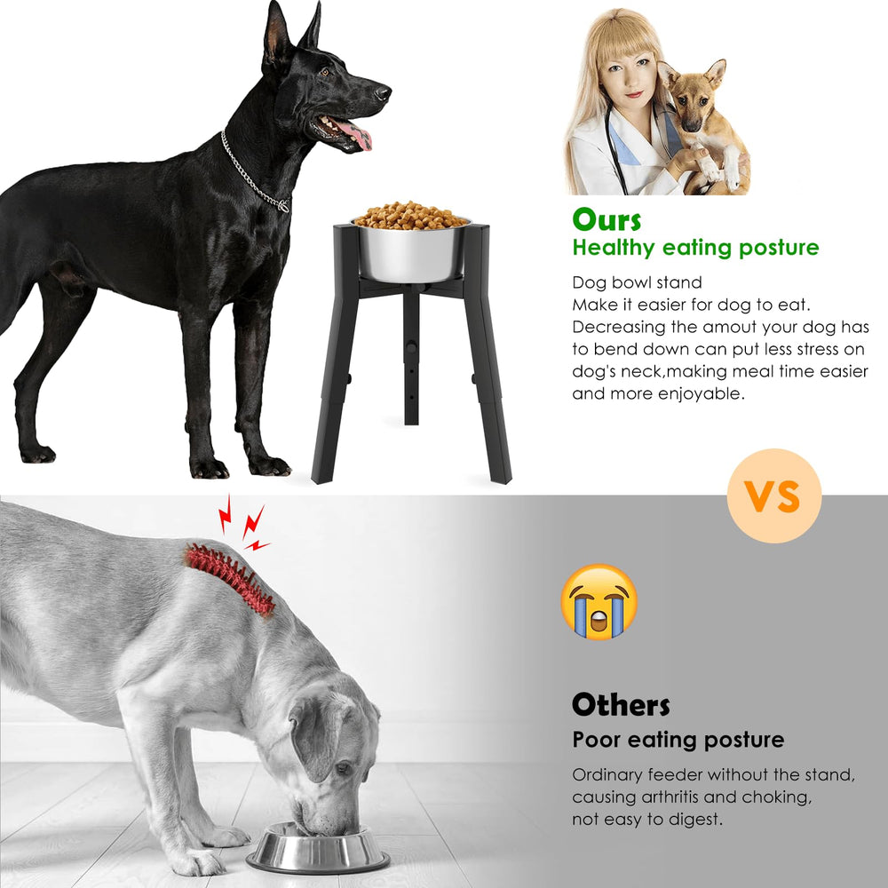 Support bol chien stable TIDANT pour des repas sans mouvement
