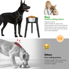 Support bol chien stable TIDANT pour des repas sans mouvement
