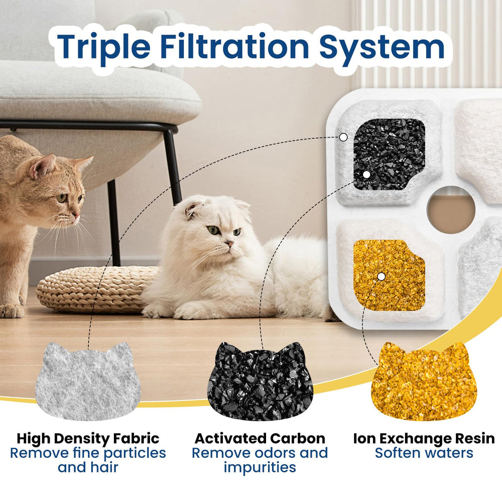 Filtre TidiRob améliore l'eau pour une hydratation plus fraîche.