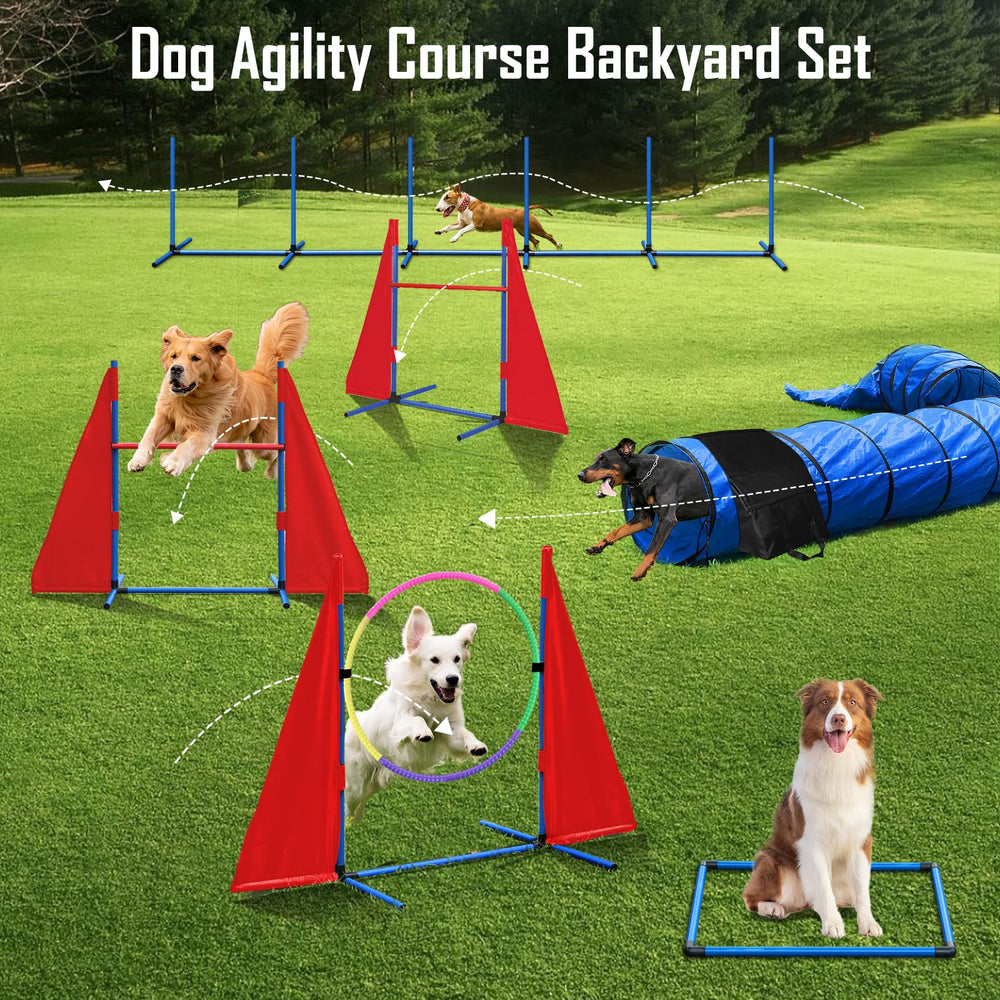 Tidjani Parcours Agilité Chien: boîte de pause pour récupération et contrôle