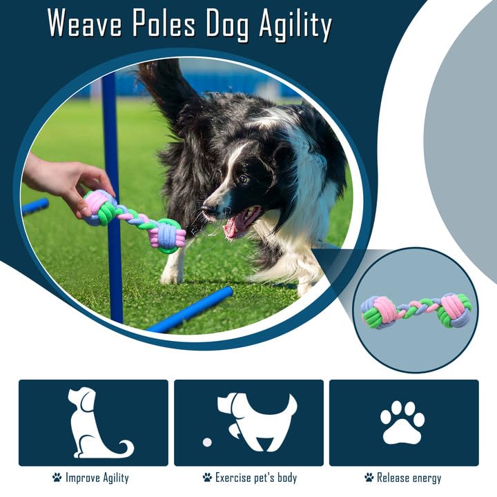 Tidjani Parcours Agilité Chien: sacs de sable pour stabiliser les obstacles