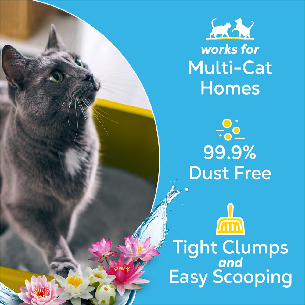 Purina Tidy Cats Glade Clear Springs forme des grumeaux solides pour nettoyage rapide.