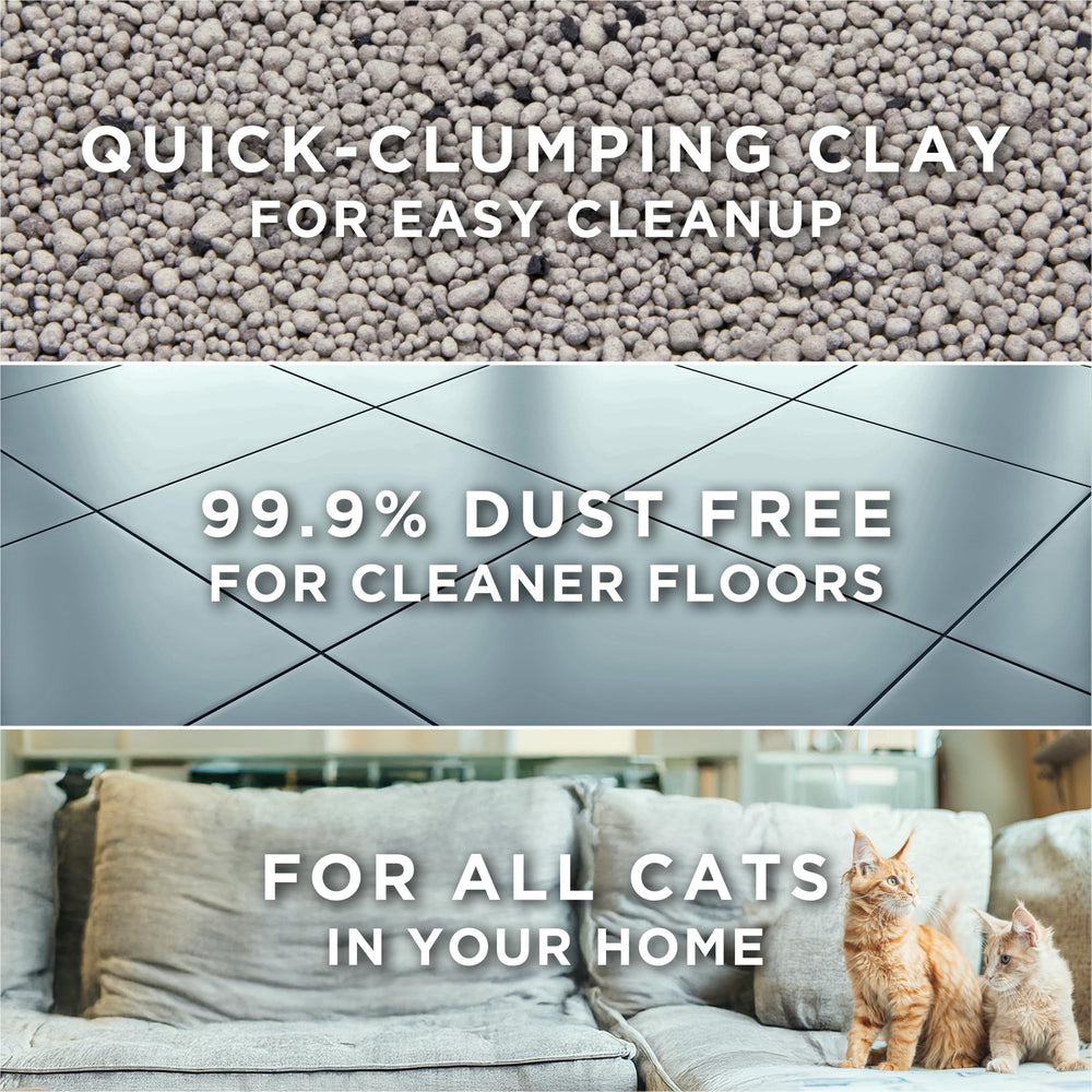 Litière Tidy Cats Argile Naturelle: grumeaux nets pour nettoyage rapide