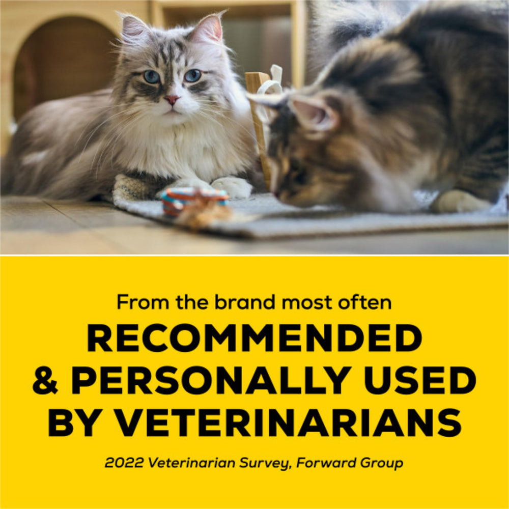 Purina Tidy Cats Performance Plus Tidy Feet: nettoyage rapide après utilisation