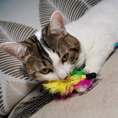 TIENAILING plumes et peluche douces créant un mouvement attractif.