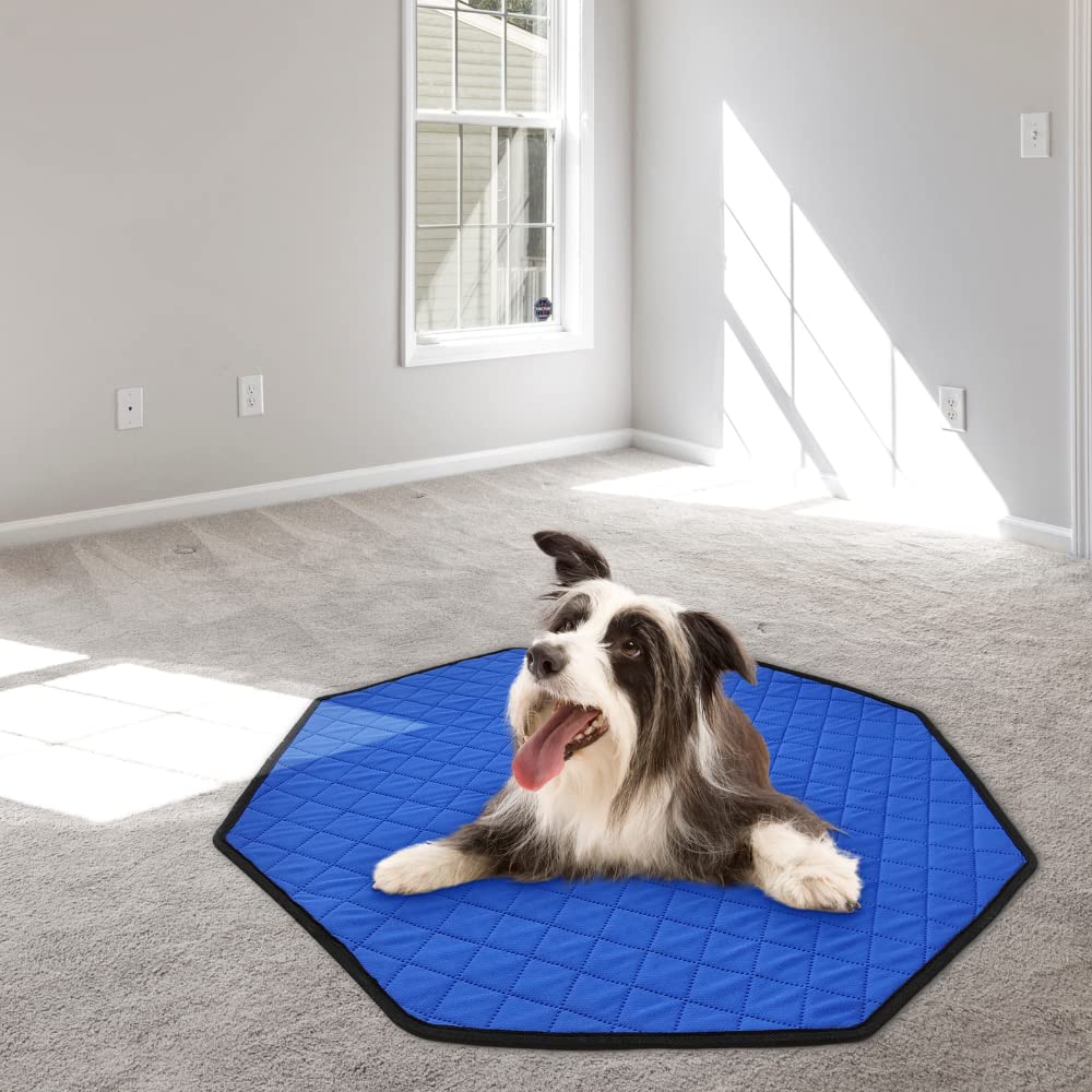 TiereCare tapis durable résiste au lavage en machine et à l usage répété.