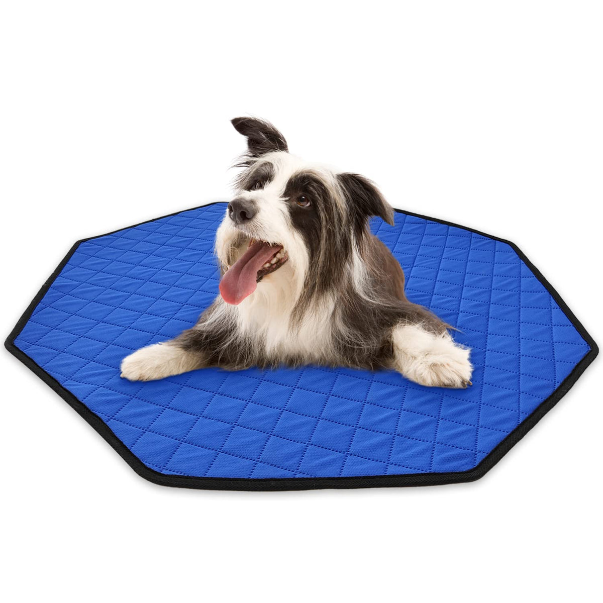 TiereCare tapis de jeu chien octogonal protège le sol et absorbe rapidement.