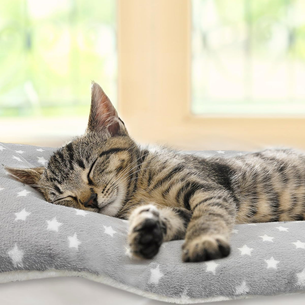 Tierecare couverture chat pour lit canapé et voiture, endroit calme.