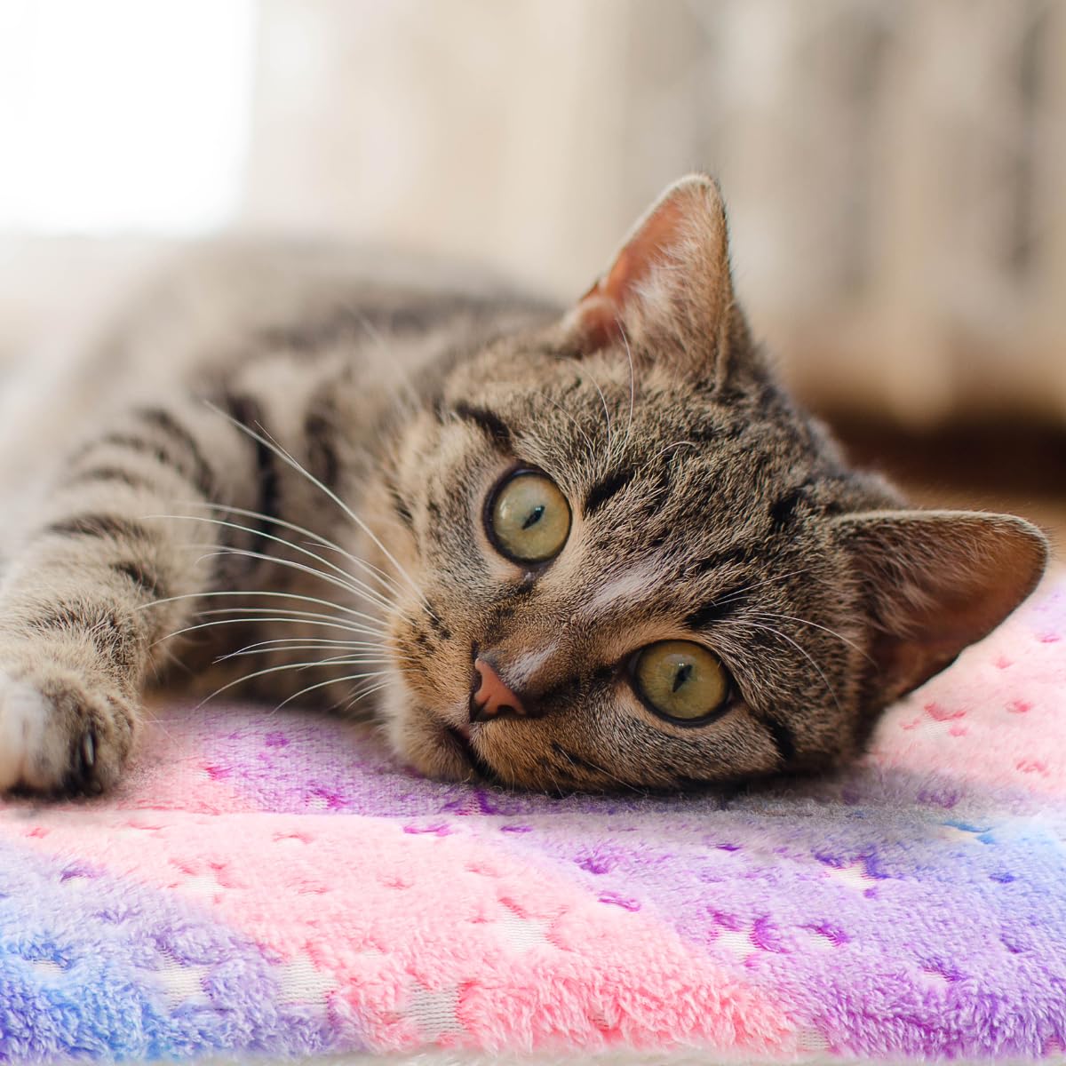 Tierrecare, couverture peluche douce, parfaite pour les siestes confortables.