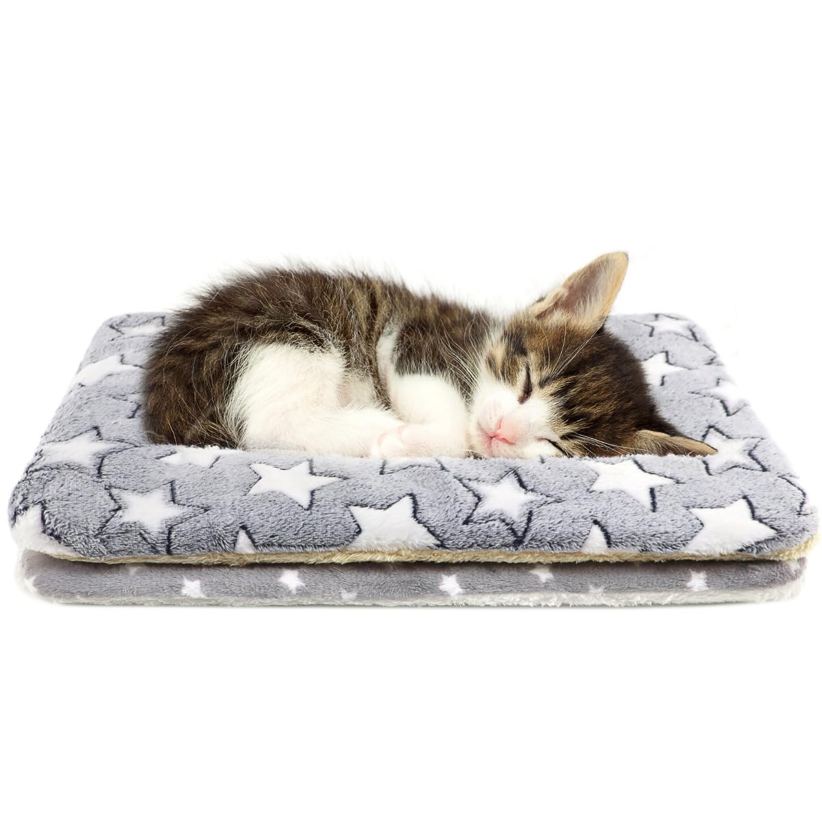 Tierecare couverture chat intérieur douce offrant un cadre confortable pour votre chat.