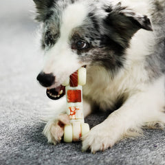Goût boeuf du Tikaton Hammerbone pour stimuler la mastication.