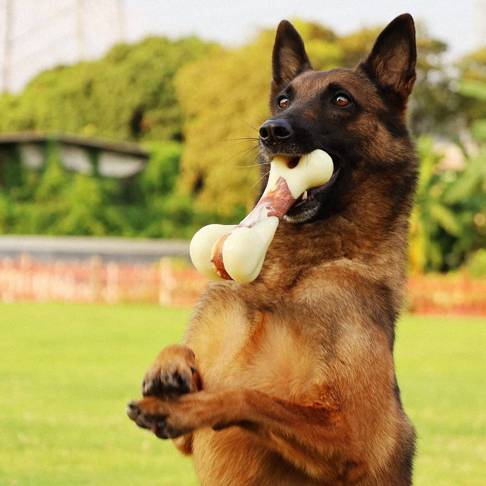 Tikaton jouet à mâcher en nylon durable pour chiens actifs.