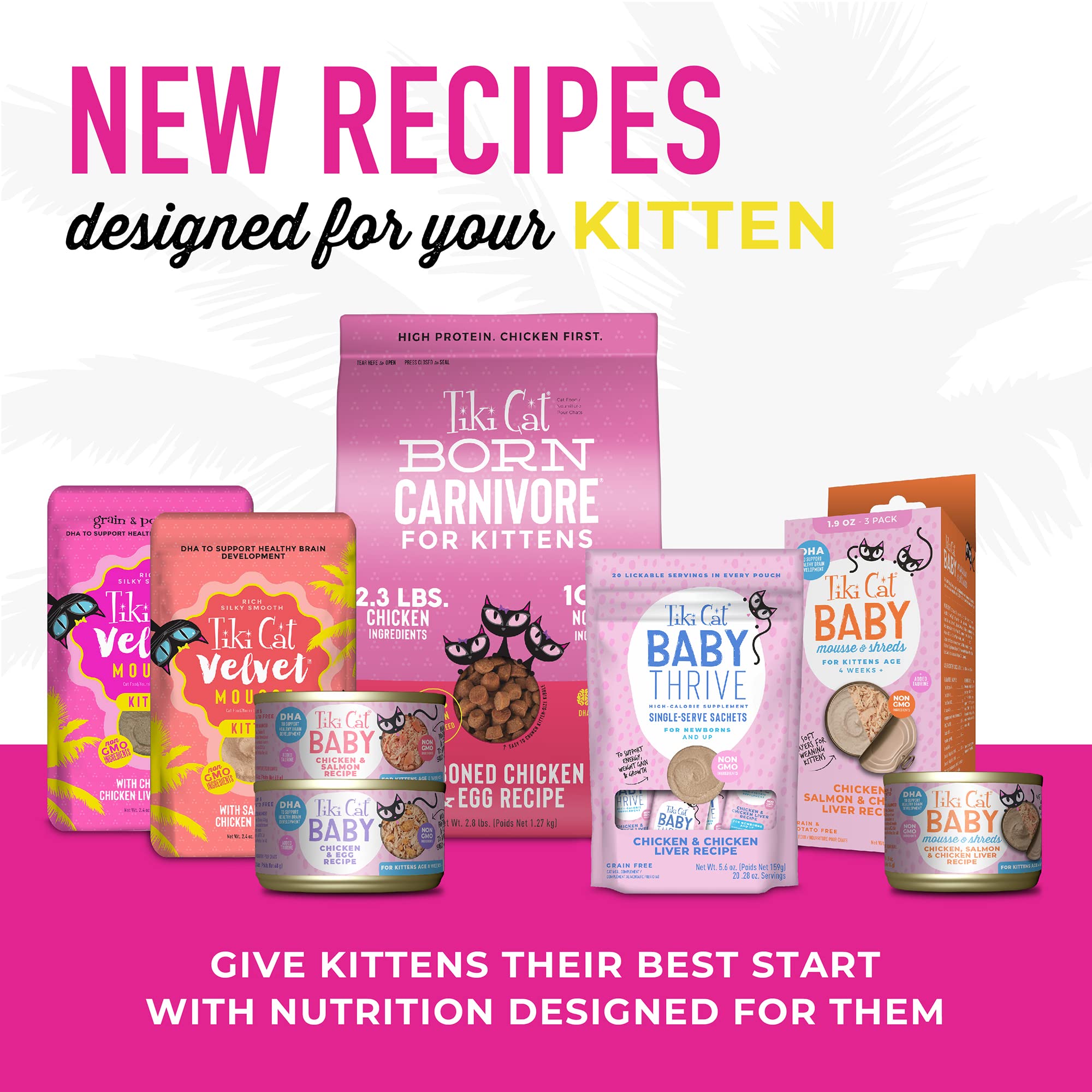 Tiki Cat Baby dès 4 semaines, utilisation facile pour démarrer l’alimentation
