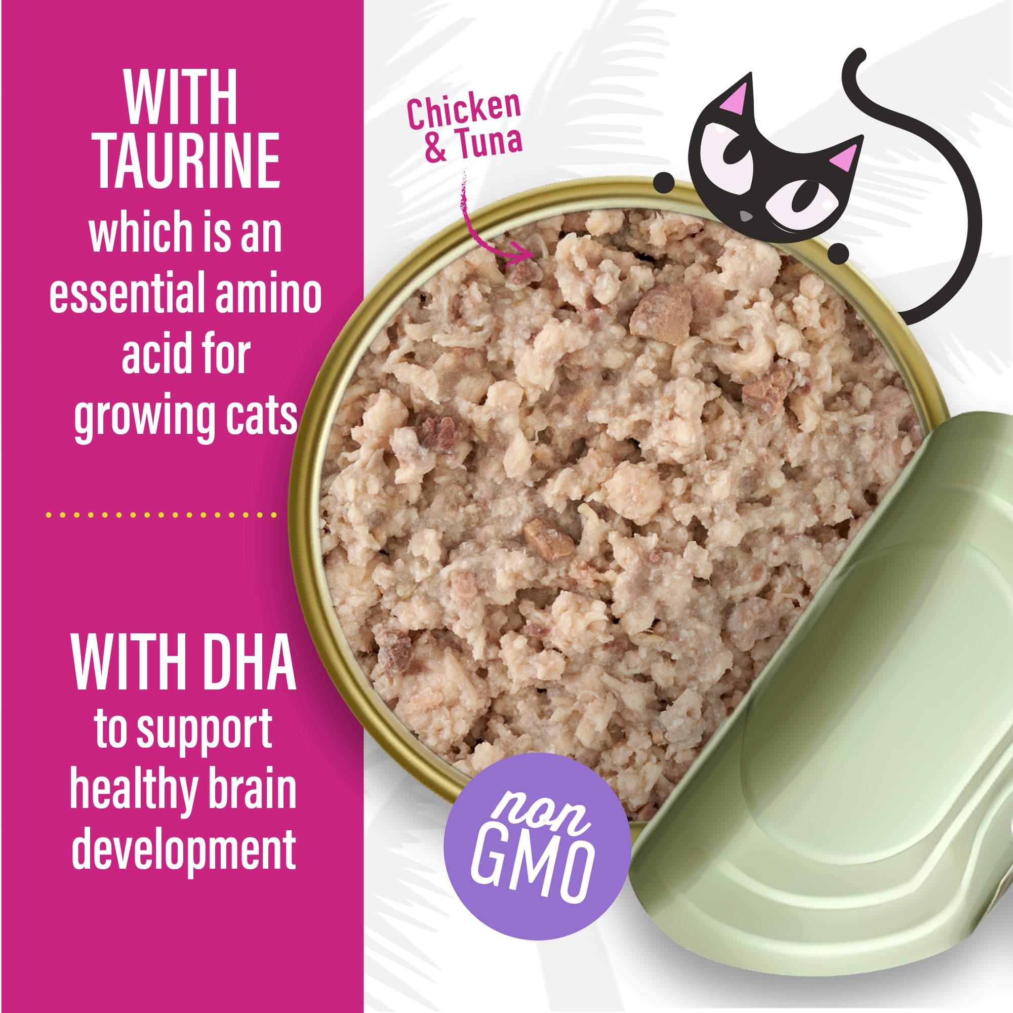 Tiki Cat Baby Favorites, recettes hypoallergéniques adaptées aux estomacs sensibles des chatons.