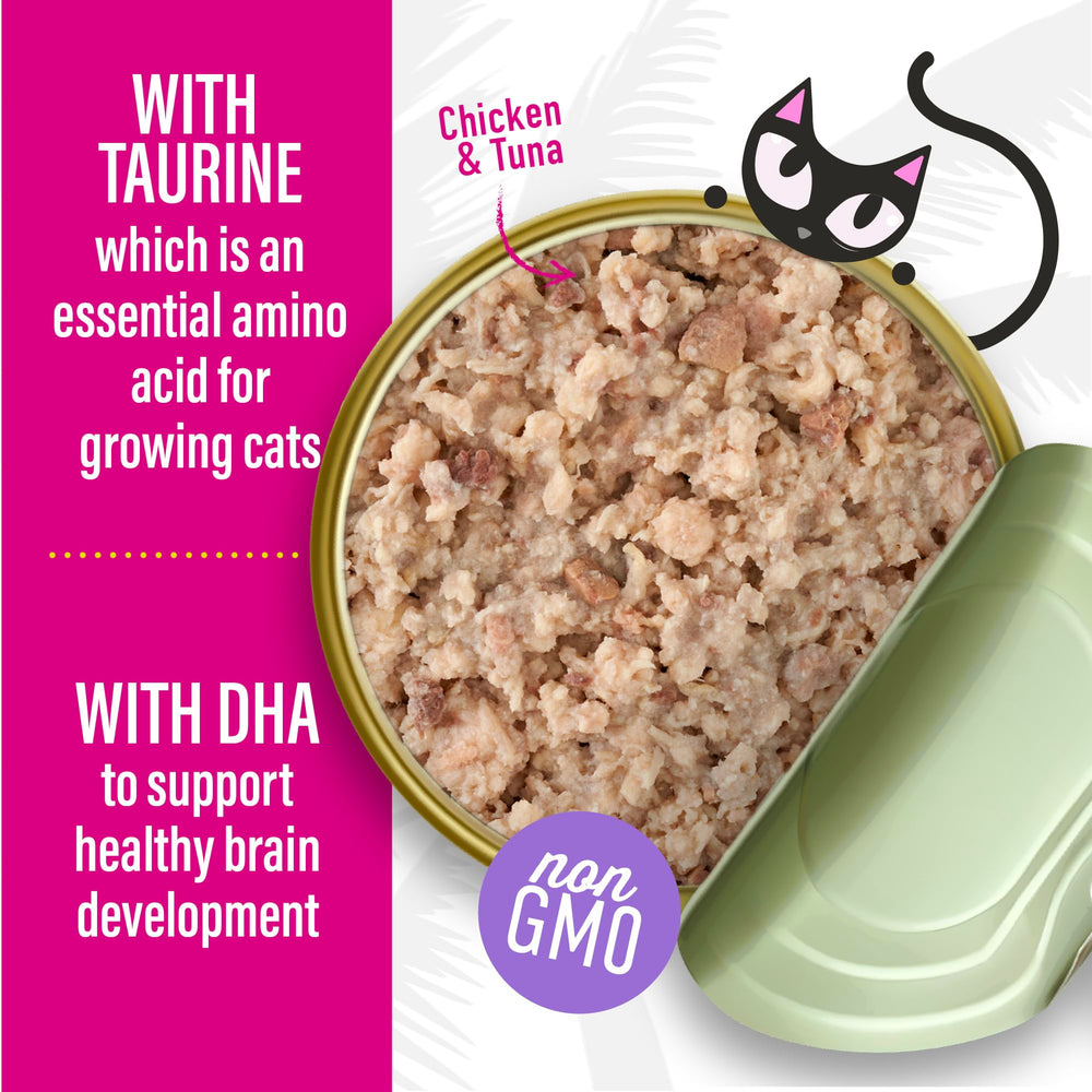 Tiki Cat Baby Favorites, recettes hypoallergéniques adaptées aux estomacs sensibles des chatons.