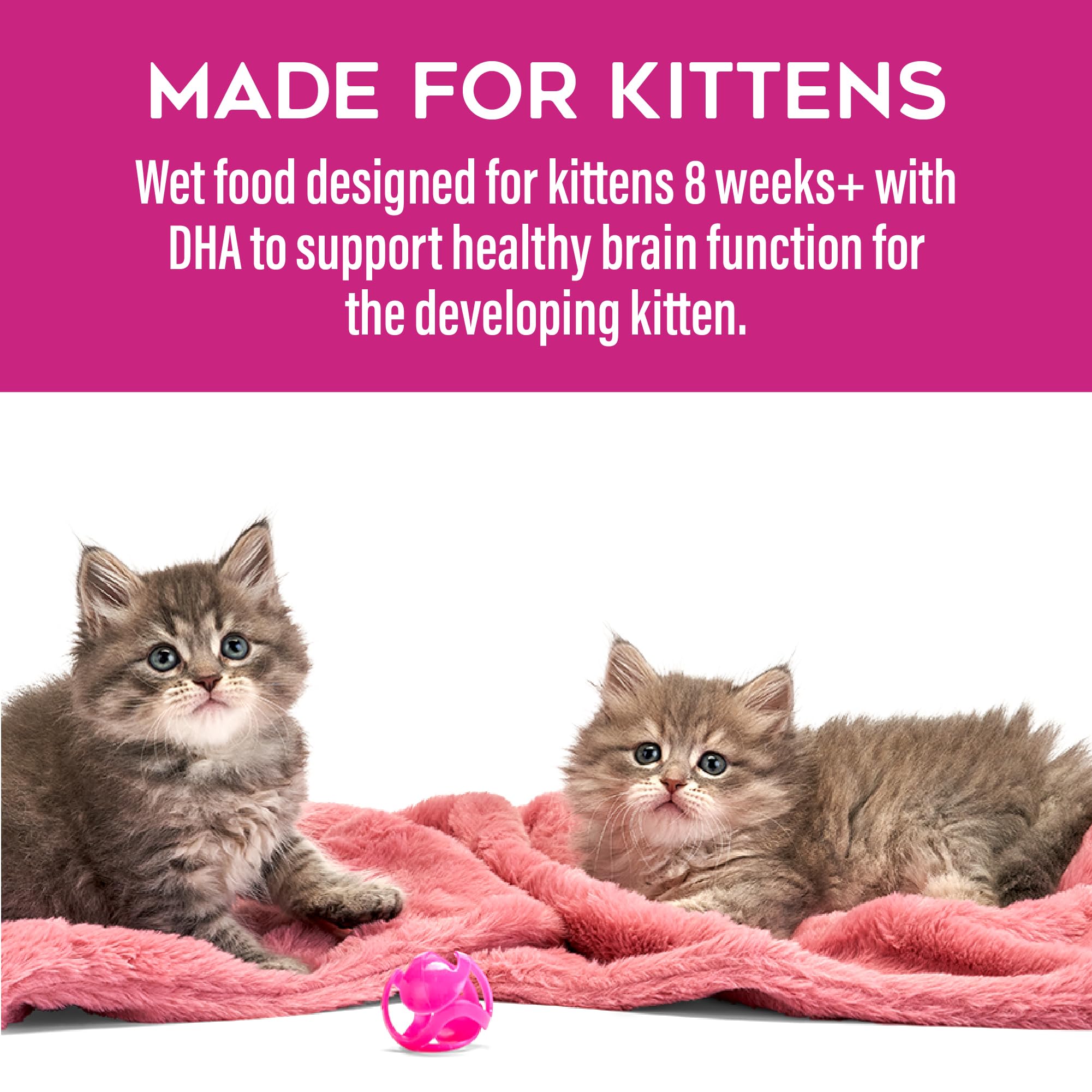 Tiki Cat Baby Favorites, utilisation quotidienne simple, convient au repas des chatons toute la journée.