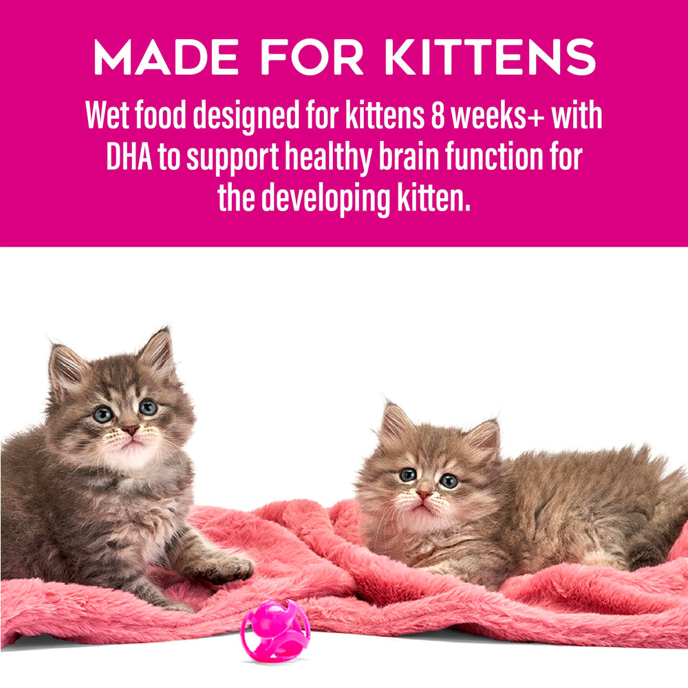 Tiki Cat Baby Favorites, utilisation quotidienne simple, convient au repas des chatons toute la journée.
