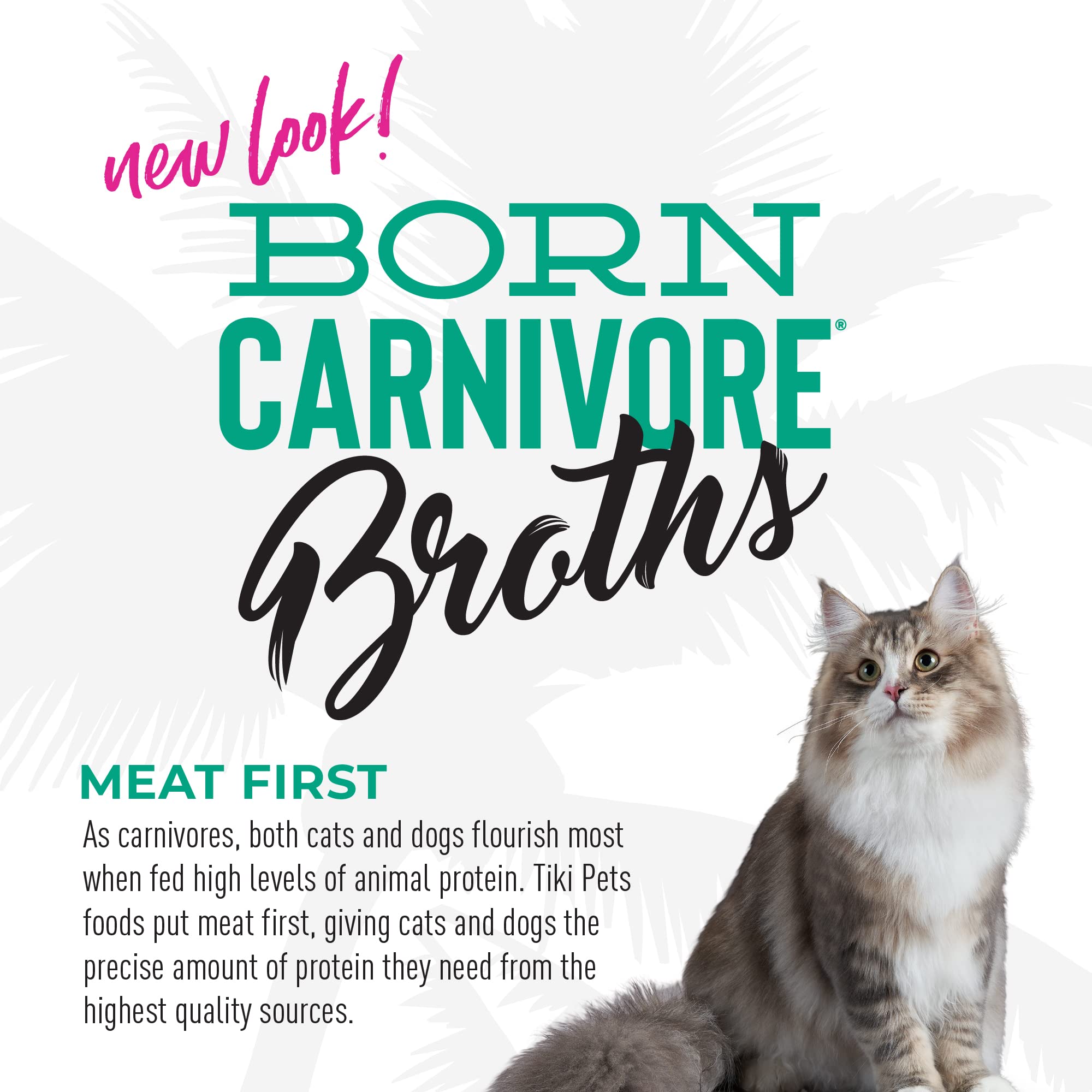 Tiki Cat Born Carnivore Broths usage-quotidien, intégration facile au menu quotidien.