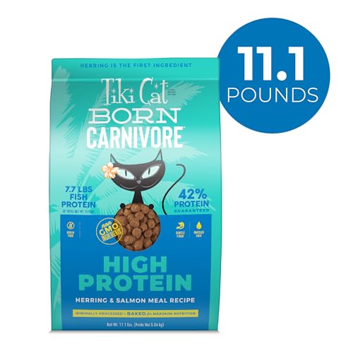 Tiki Cat Born Carnivore hareng et saumon, première protéine et goût mariné.