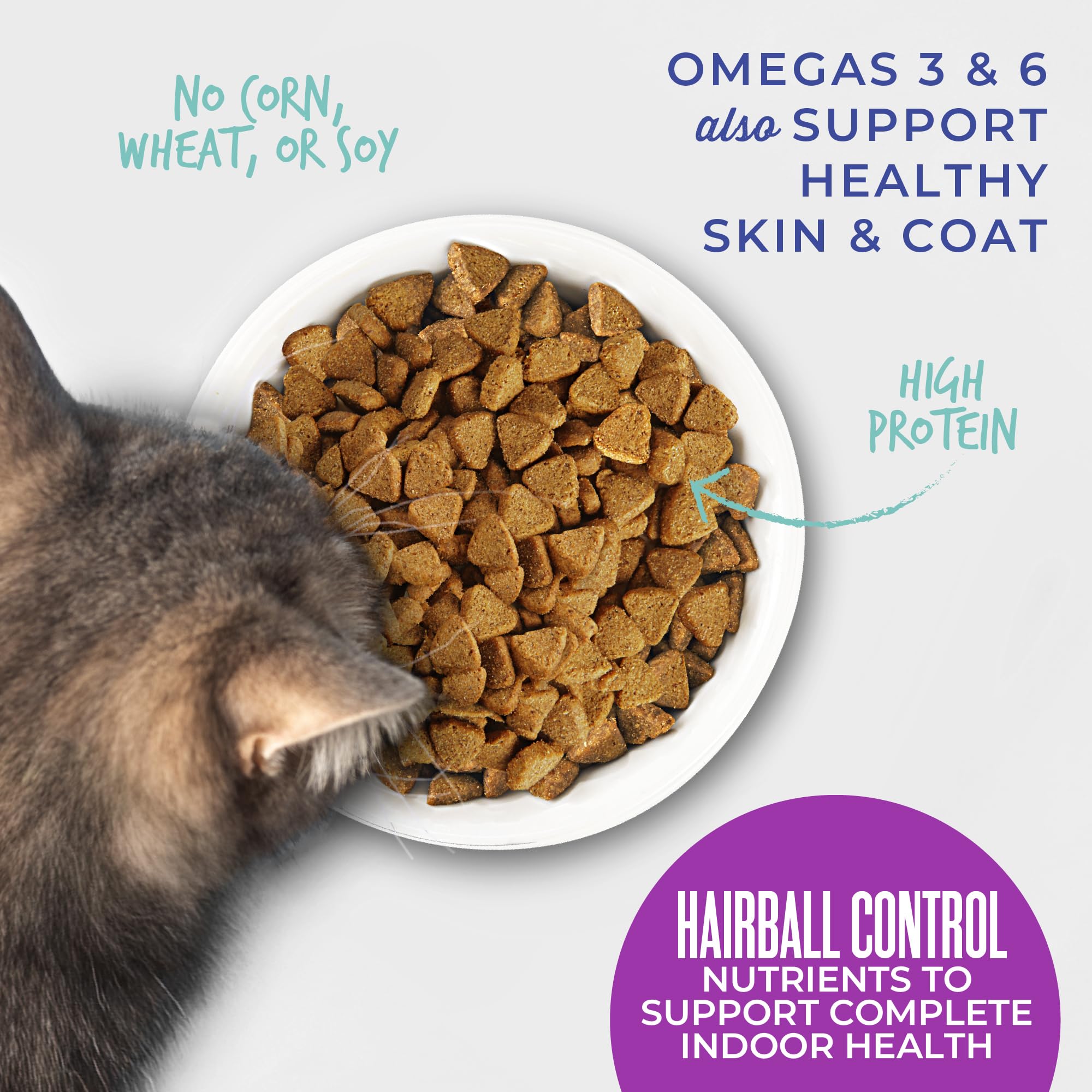 Tiki Cat Born Carnivore: prébiotiques et fibres végétales pour digestion et confort intestinal.
