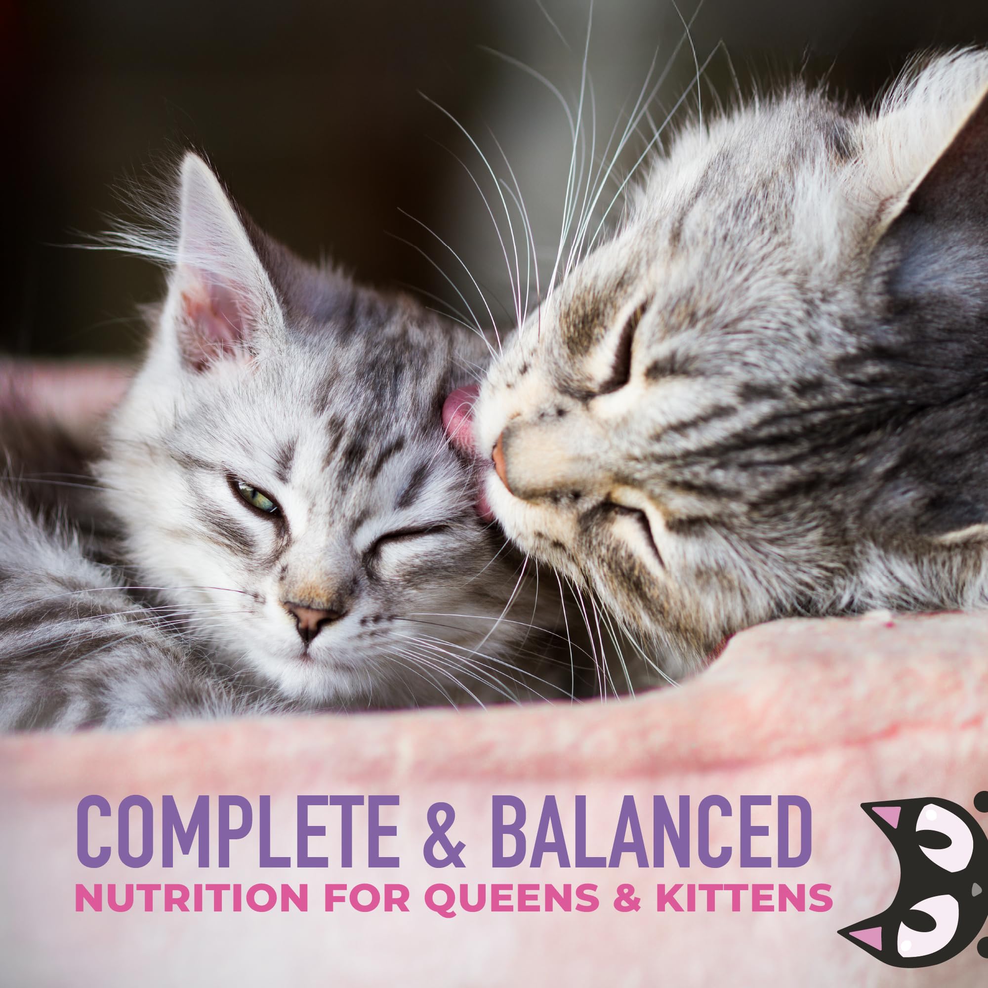 Tiki Cat Purée Bébé Chaton – texture ultra-douce facilite l'alimentation lors de la transition.