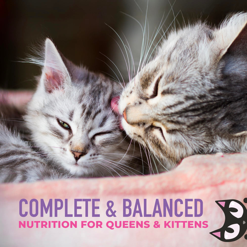 Tiki Cat Purée Bébé Chaton – texture ultra-douce facilite l'alimentation lors de la transition.