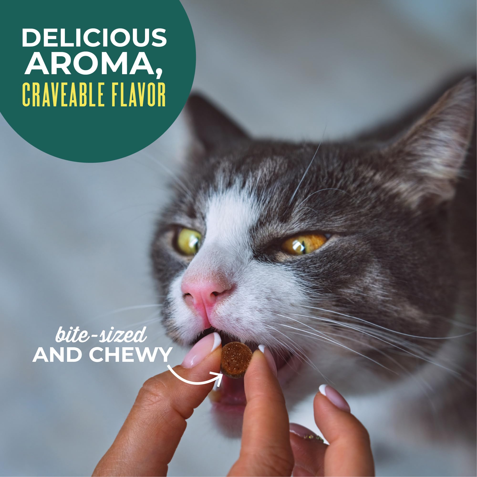Sans céréales ajoutées et sans gluten