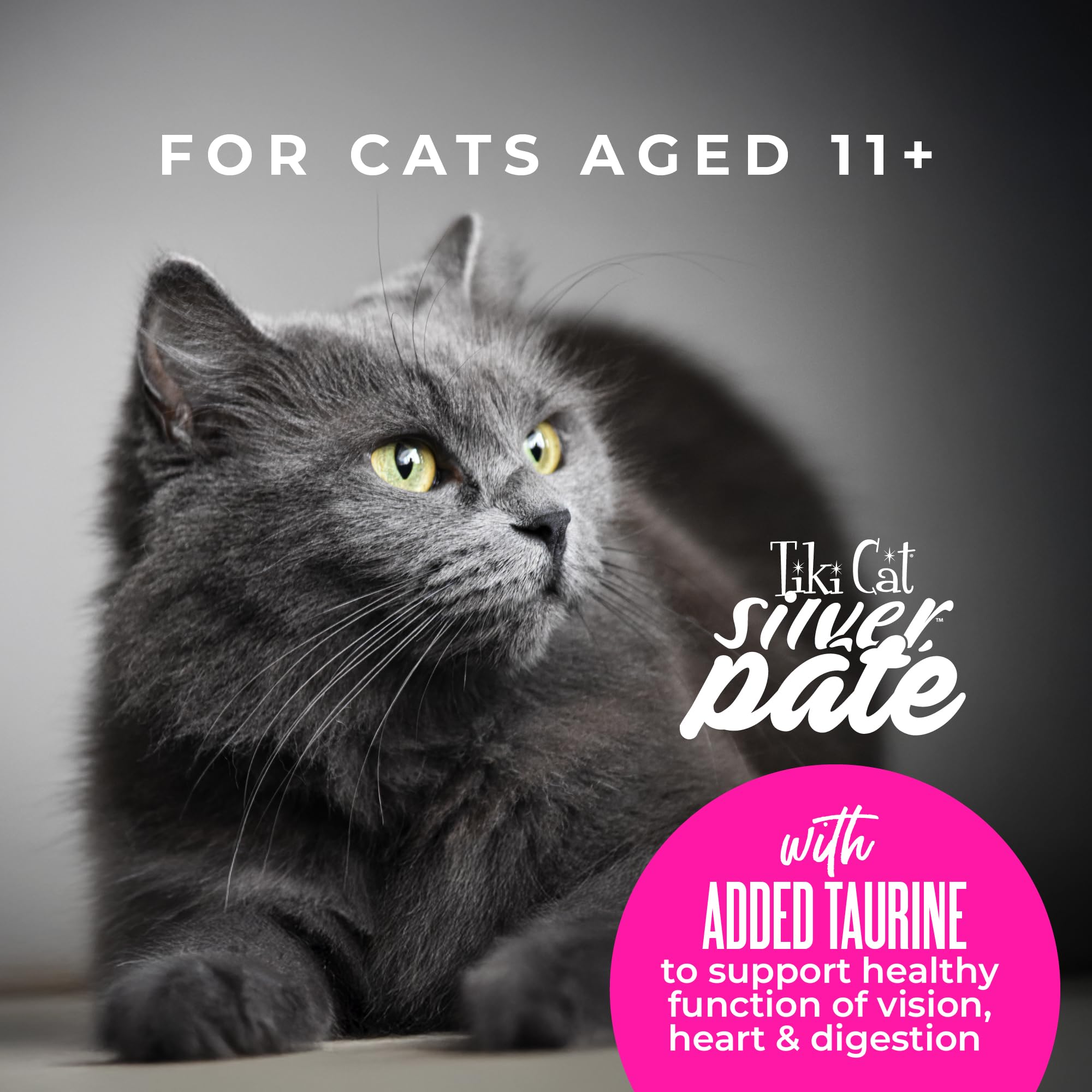 Tiki Cat Silver – format 2,4 oz en boîte, 12 portions.