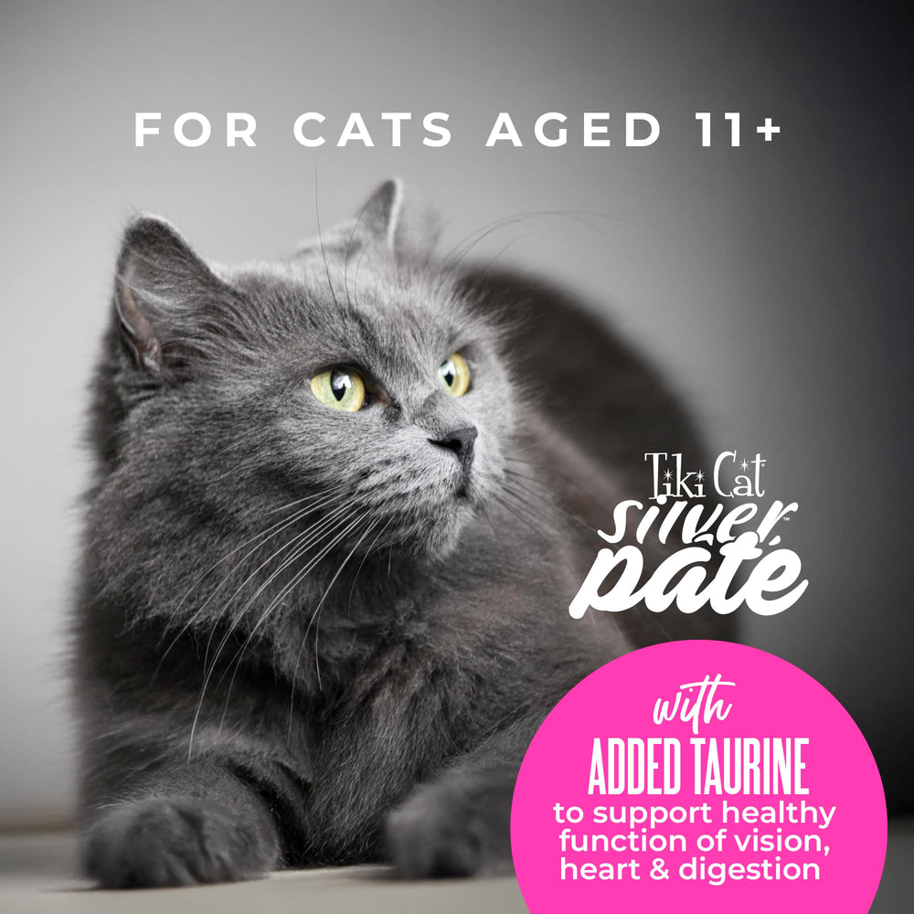 Tiki Cat Silver – format 2,4 oz en boîte, 12 portions.