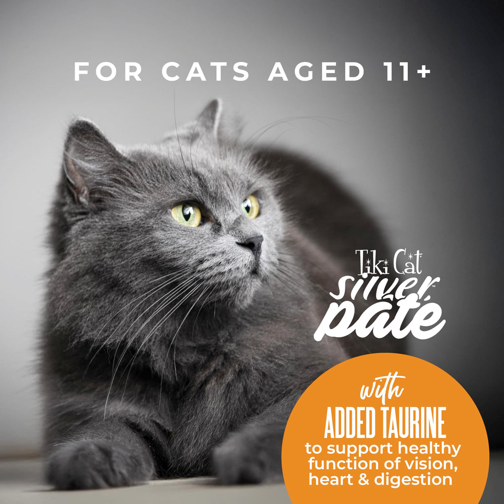 Pâte lisse Tiki Cat Silver, facile à mélanger avec d'autres aliments.