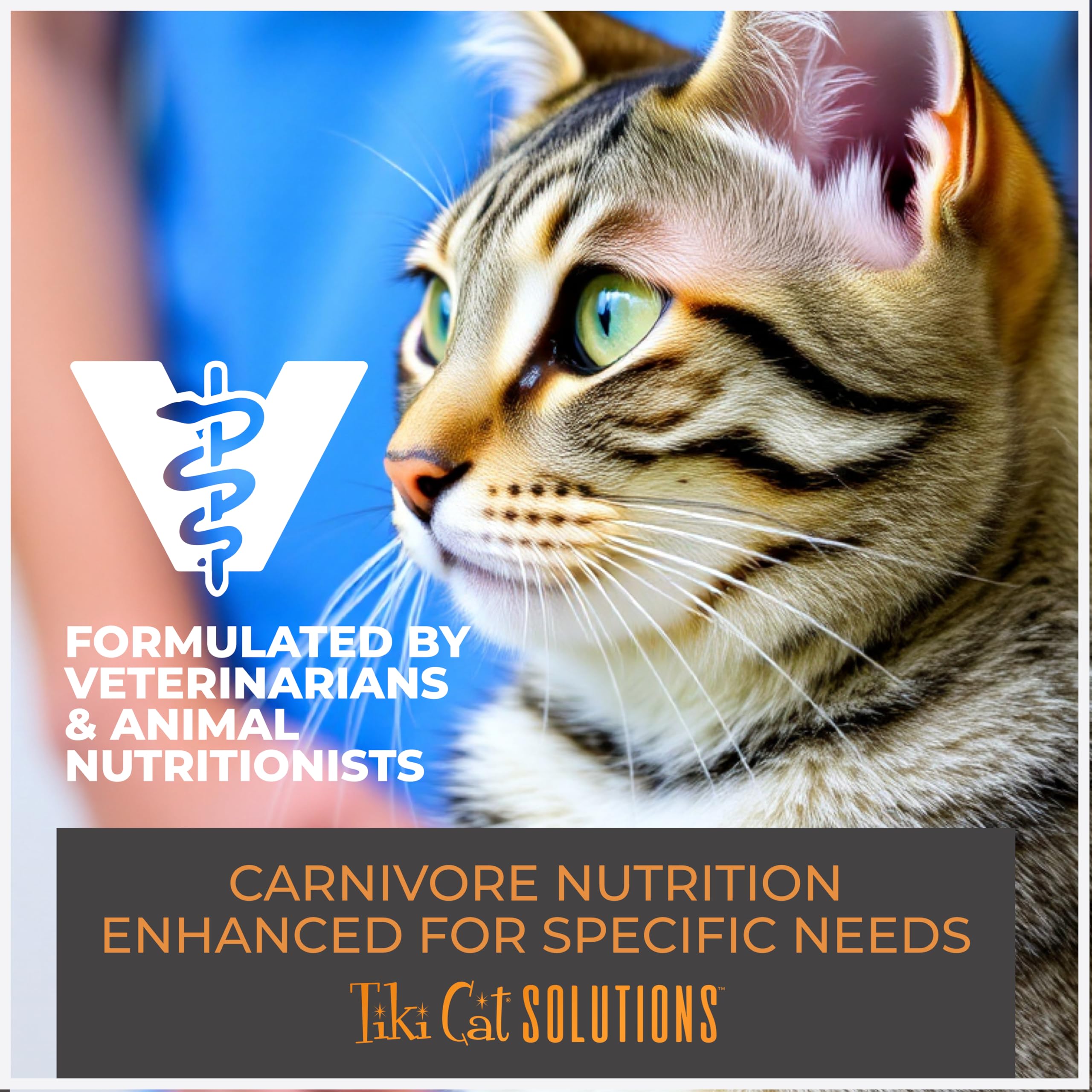 Tiki Cat Solutions alimentation humide pour chats adultes, thon lait chèvre, poche 6 oz.