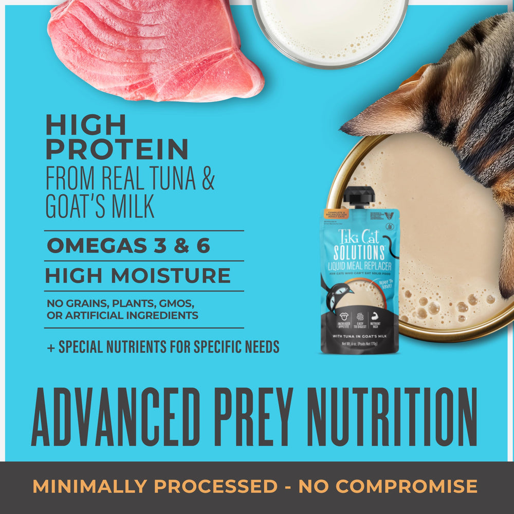 Tiki Cat Solutions calories élevées, poche 6 oz, soutien de poids possible pour les chats sous-nourris.