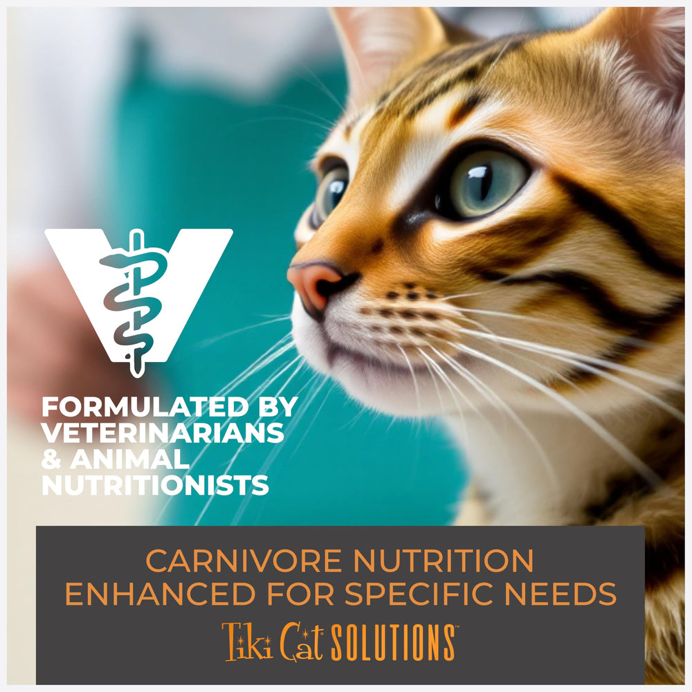 Tiki Cat Solutions Mineral Balance Mousse, repas pour adultes bien équilibré.
