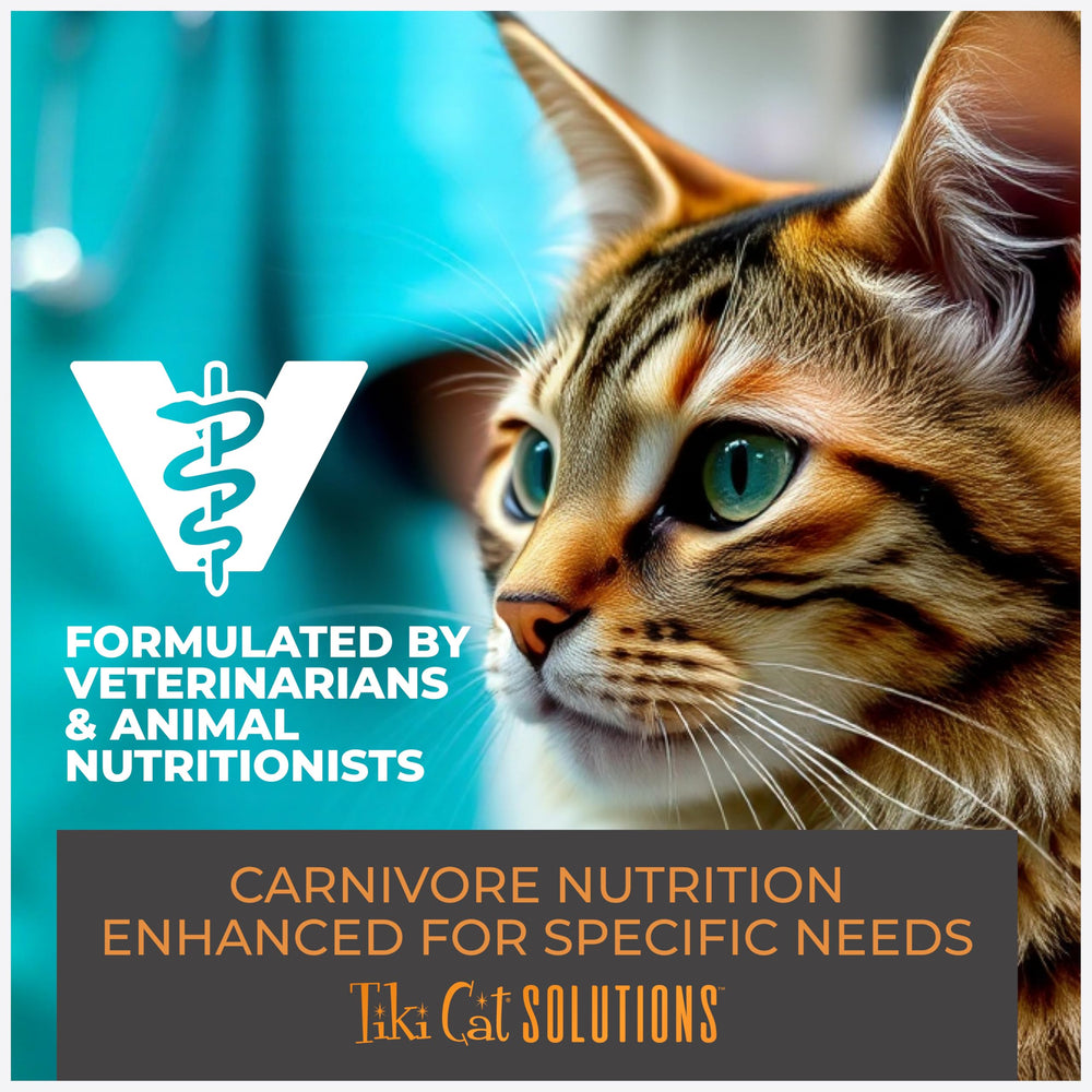 Protéines élevées dans Tiki Cat Solutions Mobilité pour la masse musculaire.
