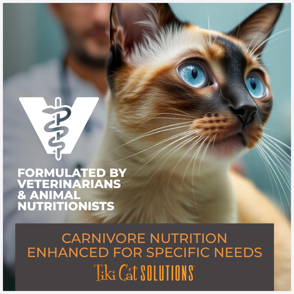 Tiki Cat Solutions Mousse Digestion Douce, convient aux chats exigeants.
