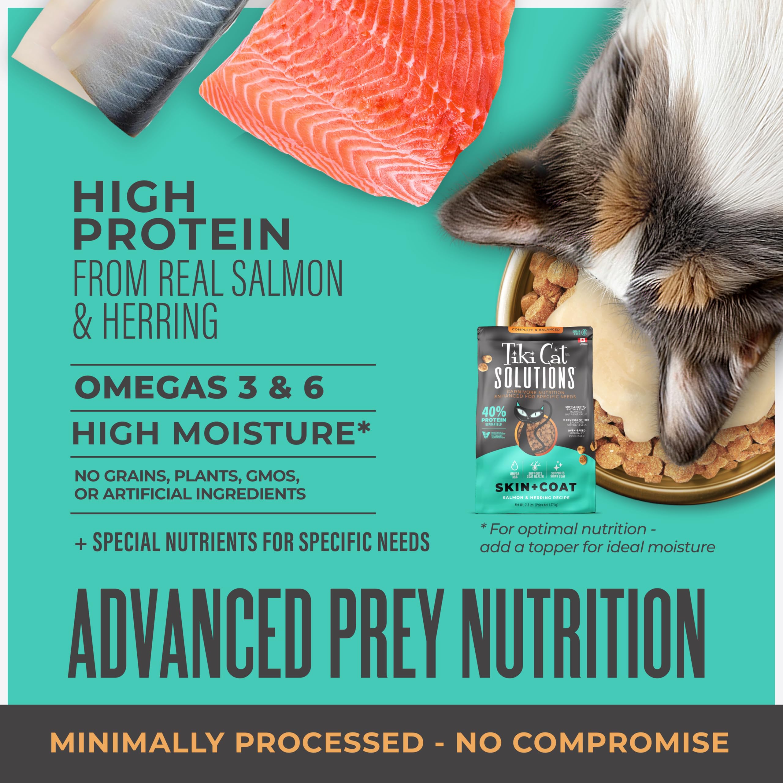 Oméga-3 dans Tiki Cat Solutions Skin & Coat pour brillance potentielle.