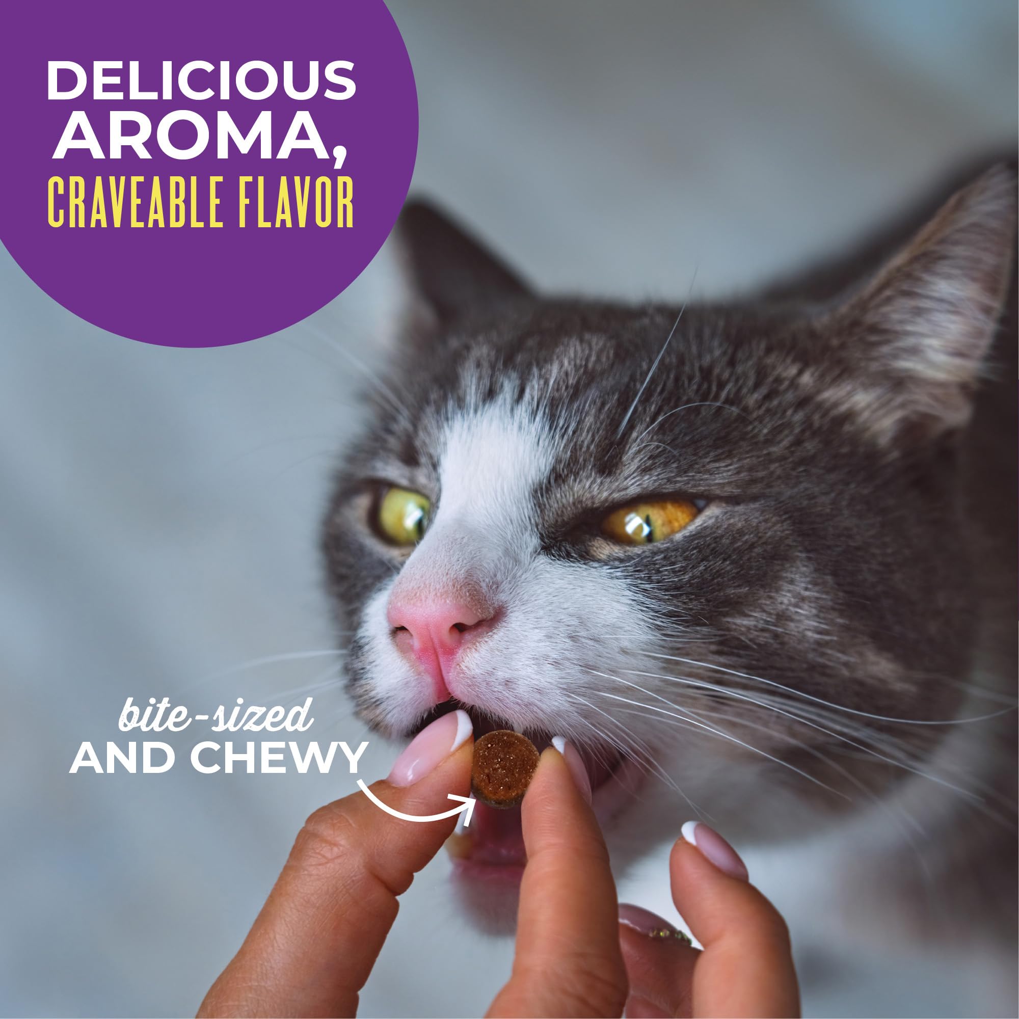 Friandises Tiki Cat Sachet 2oz Pratique: récompenses faciles en déplacement.