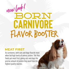 Morceaux de viande dans la bisque Tiki Dog Born Carnivore.