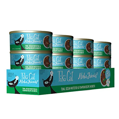 Chat regardant la boîte Tiki Cat Aloha Friends poisson océan en conserve