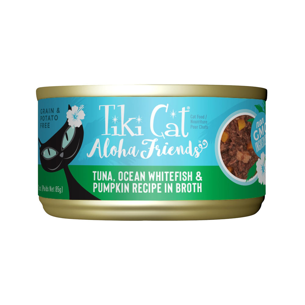 Chat dégustant Tiki Cat Aloha Friends thon en conserve, repas riche en protéines