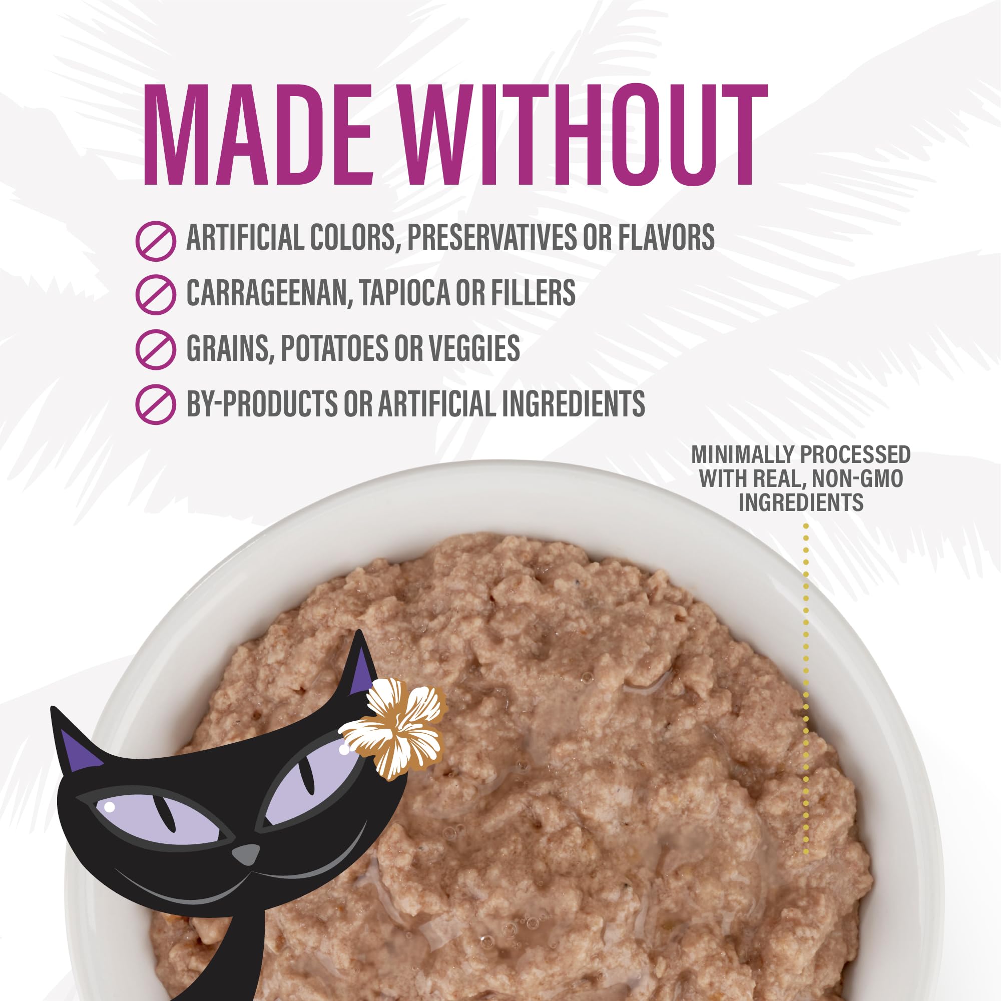 Sans additifs artificiels dans Tiki Pets Après Minuit.