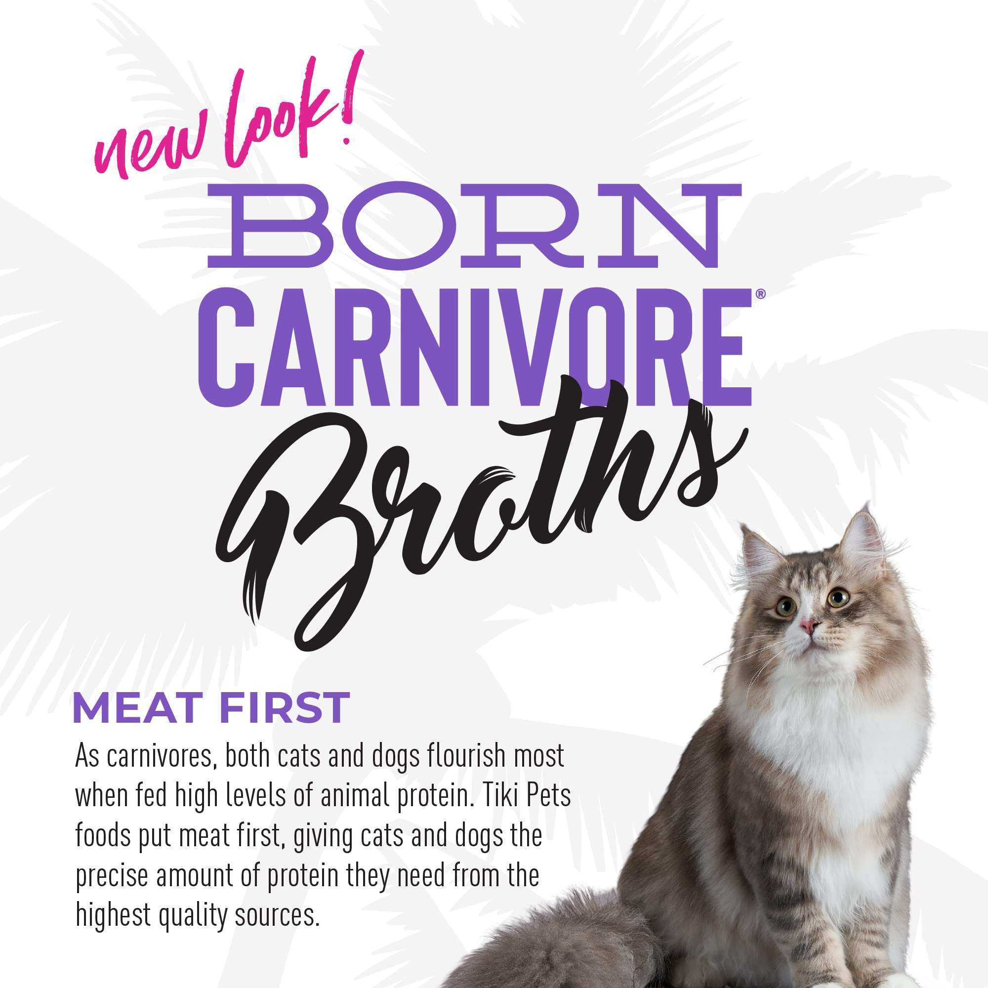 Bisque savoureuse Tiki Cat pour rehausser les repas.