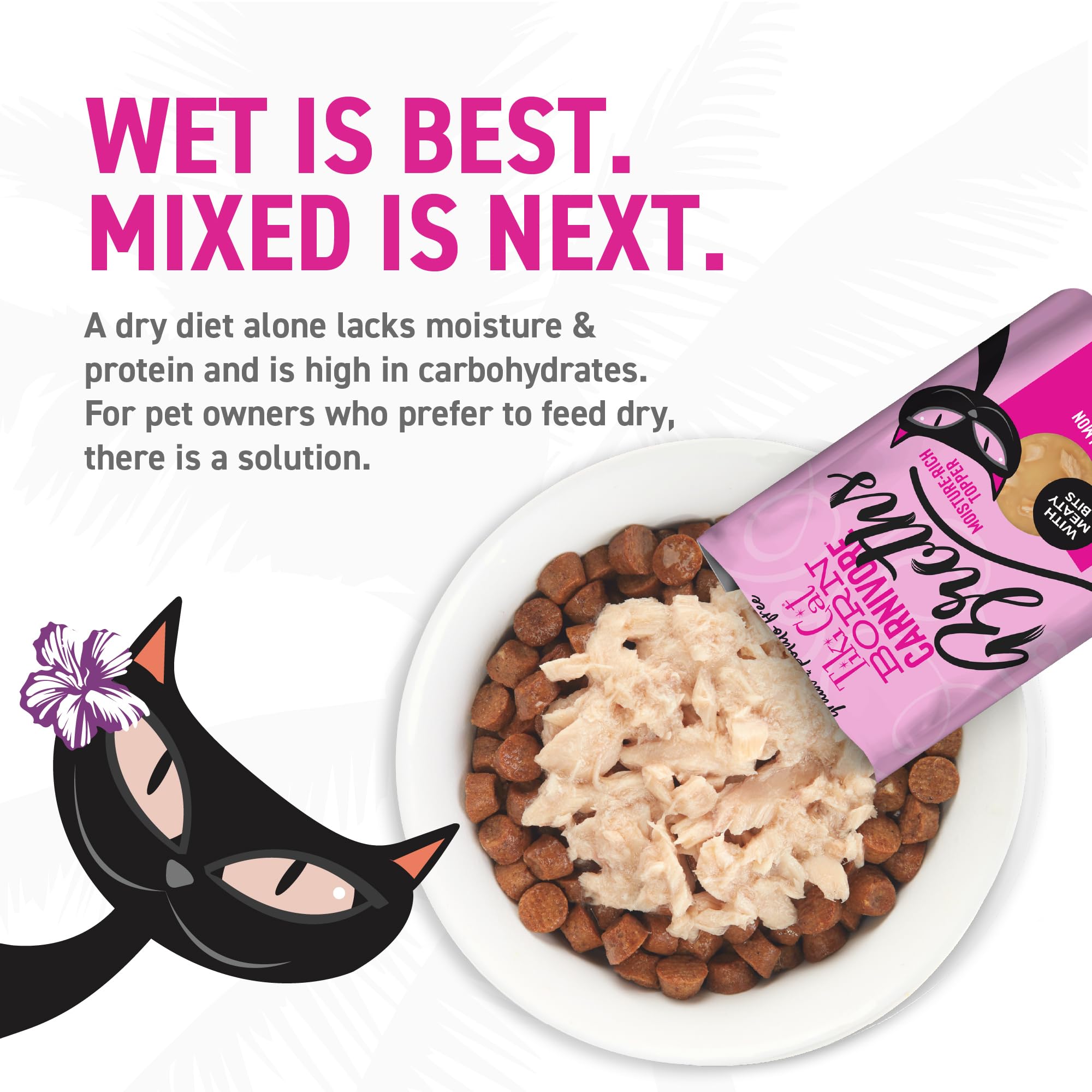 Bouillon saumon Tiki Pets, sachet pratique