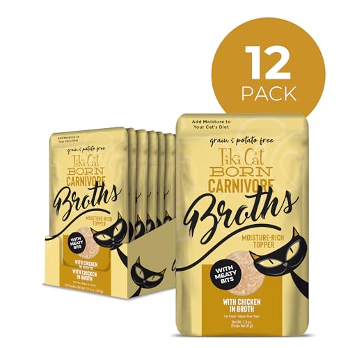 Chat appréciant le bouillon poulet Tiki Pets, enrichissant l'alimentation.